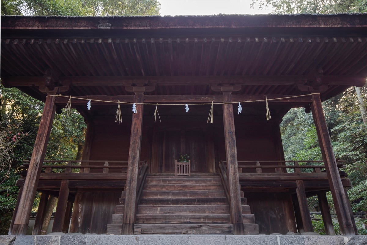 写真03