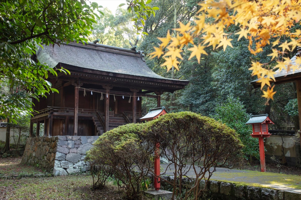 写真06