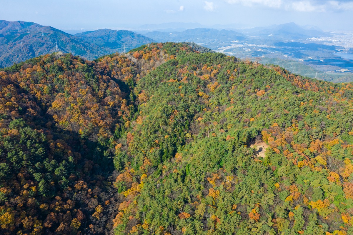 中寺廃寺跡