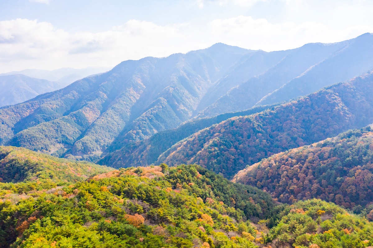 写真04：中寺廃寺跡からみた大川山