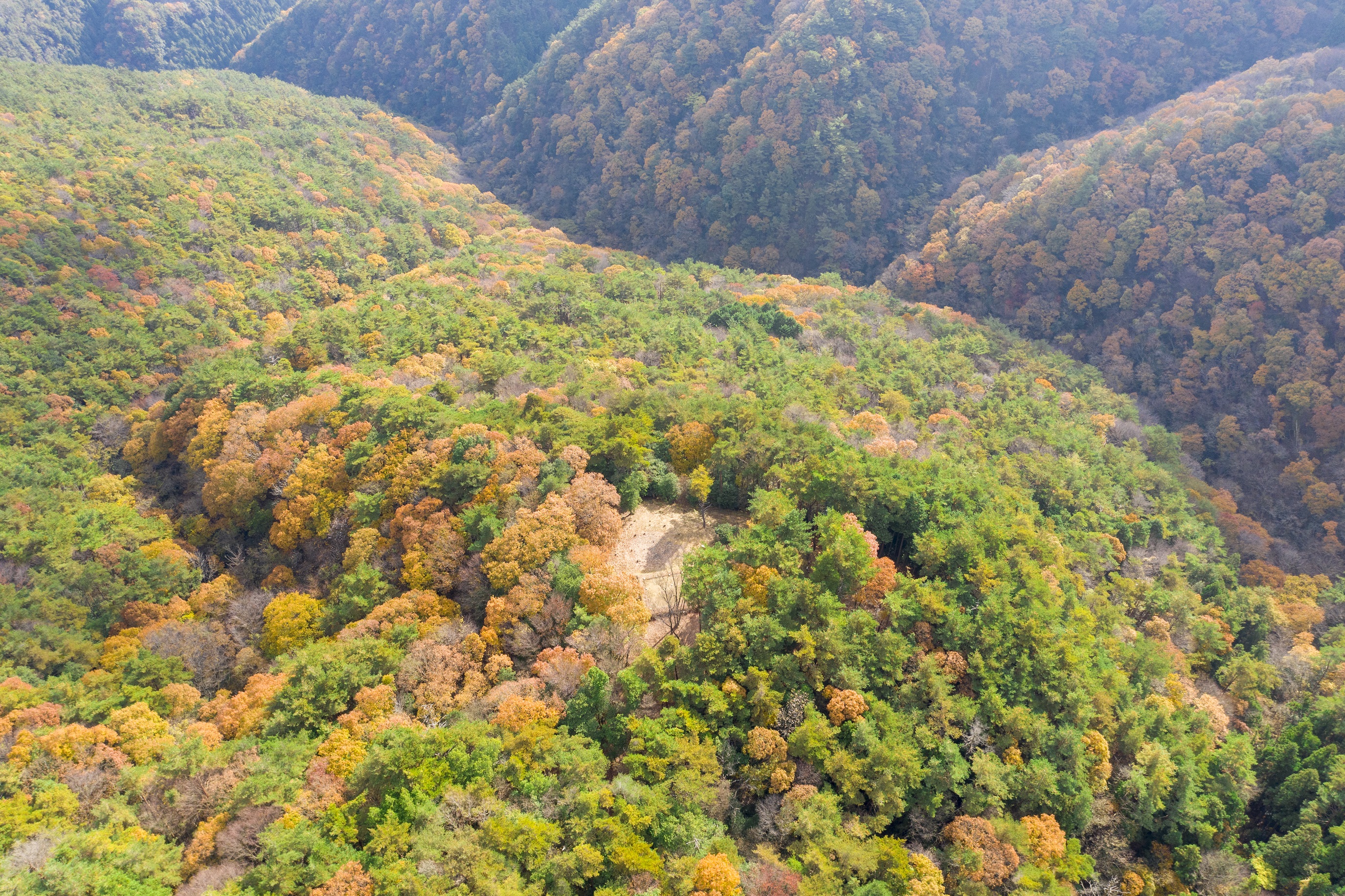 写真05：割拝殿跡の遠景