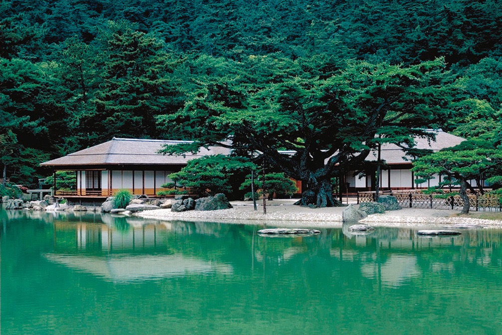 写真09：根上り五葉松と掬月亭