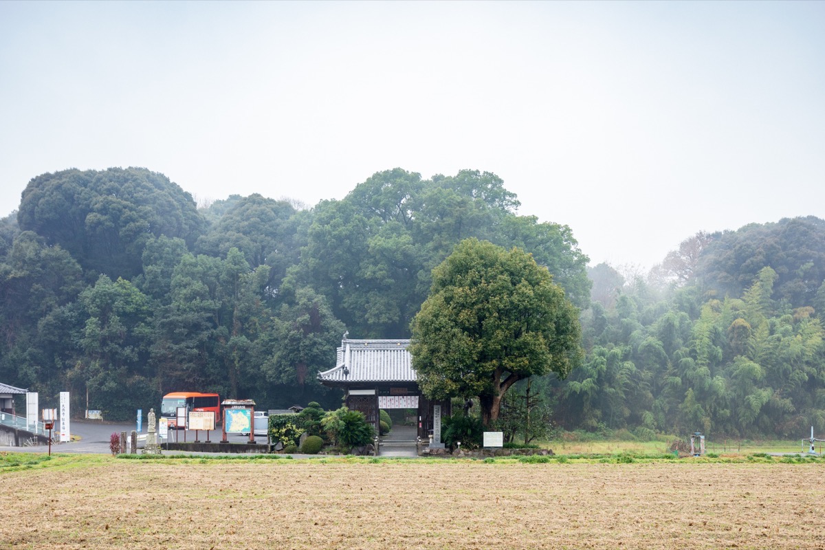 写真02：仁王門遠景