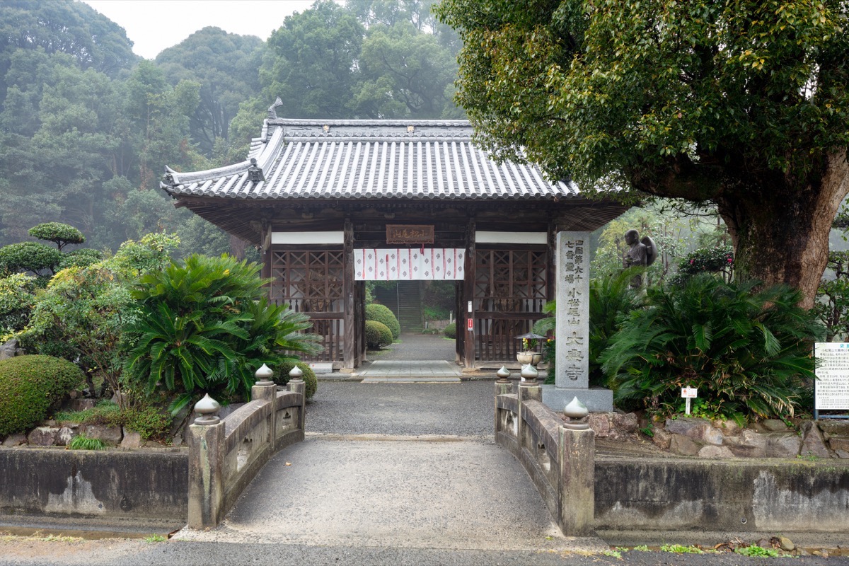 写真03：仁王門