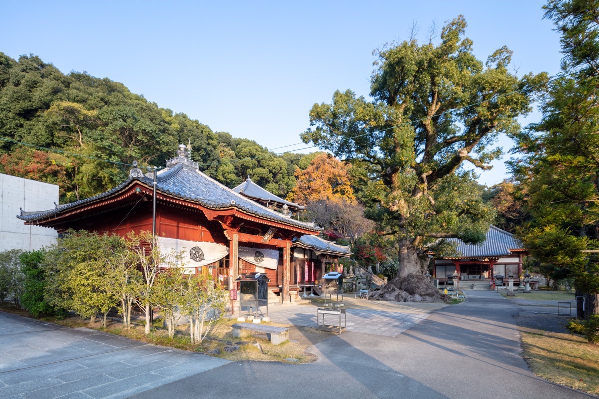 写真07：観音寺 境内