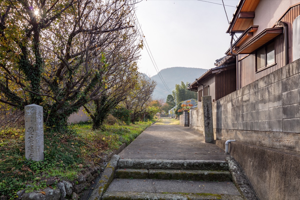写真02：北からの参道