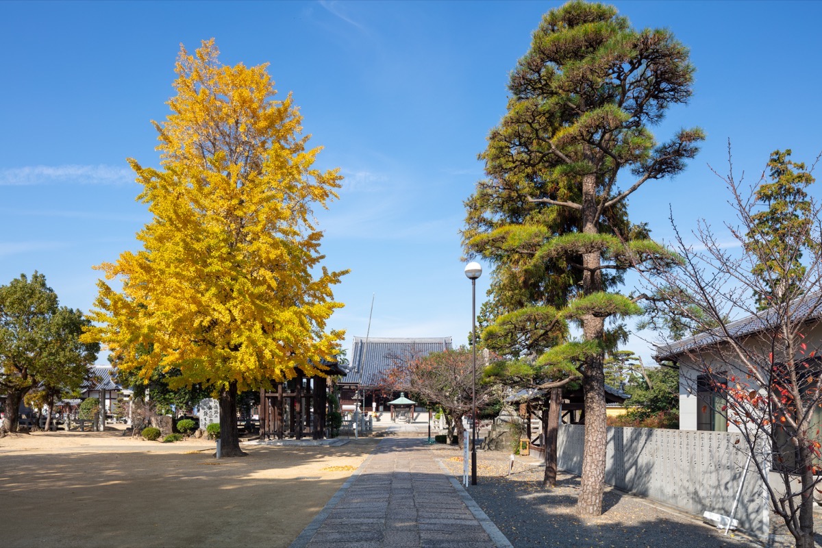 写真03：参道から本堂