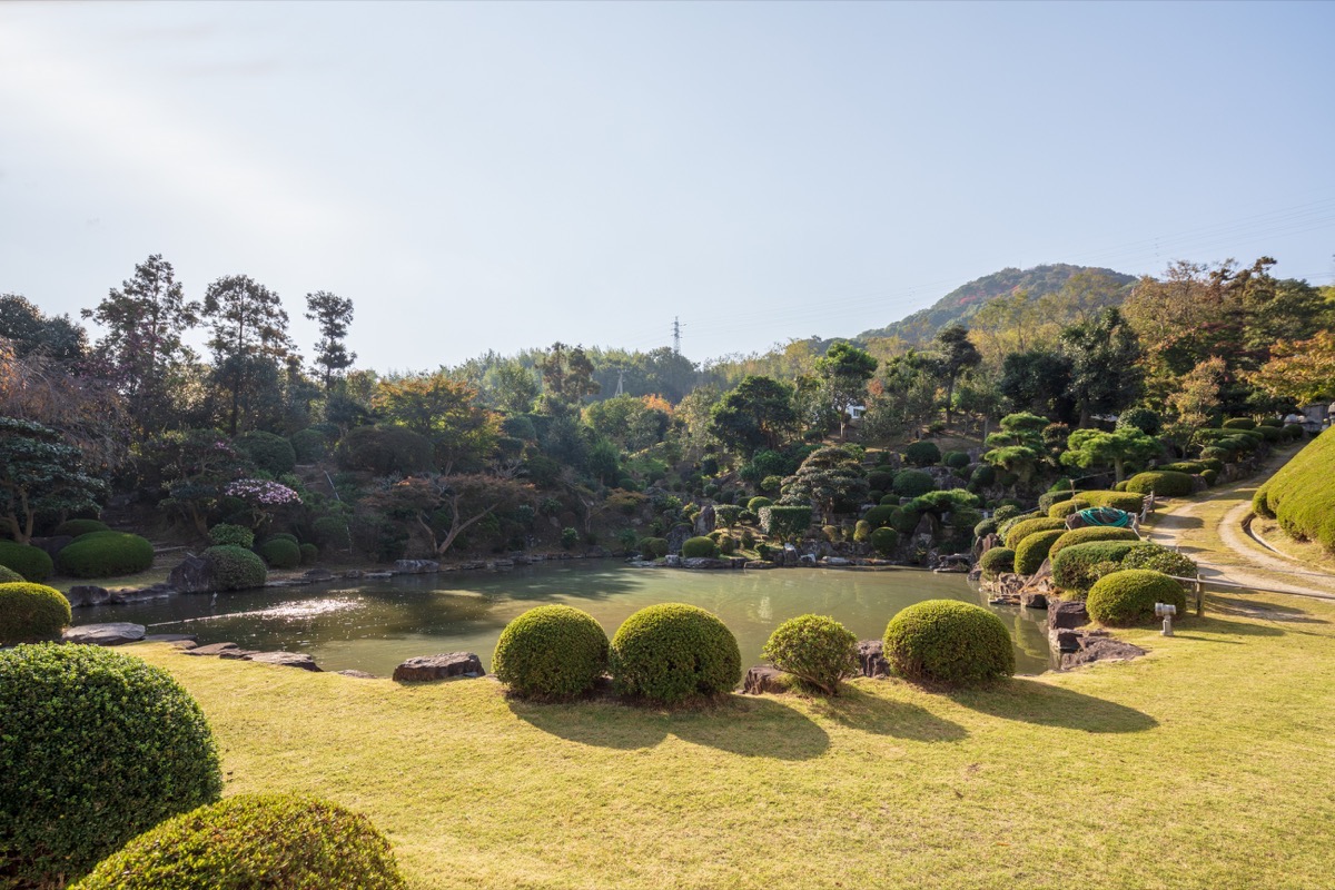 写真10：庭