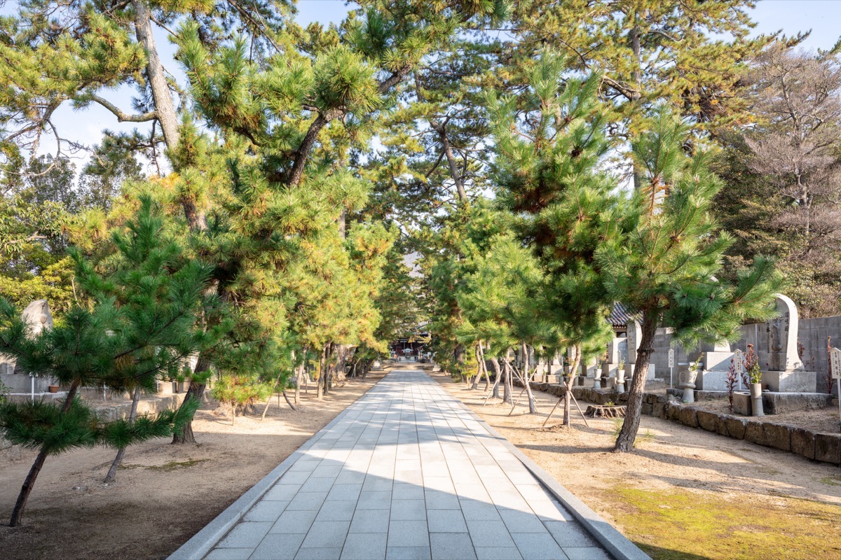 写真03：本堂への参道