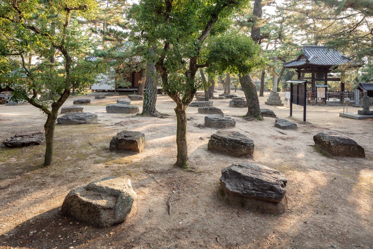 写真06：金堂跡の礎石群