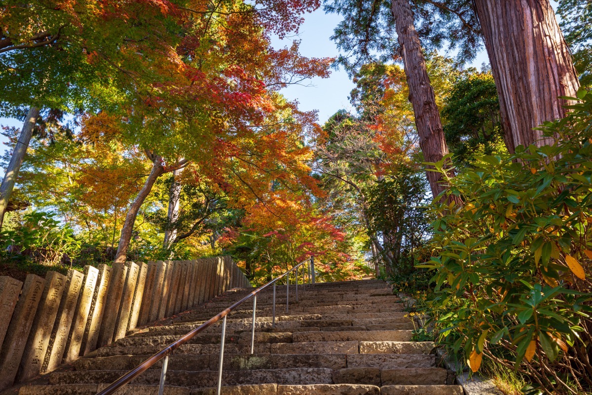 写真03：本堂への階段
