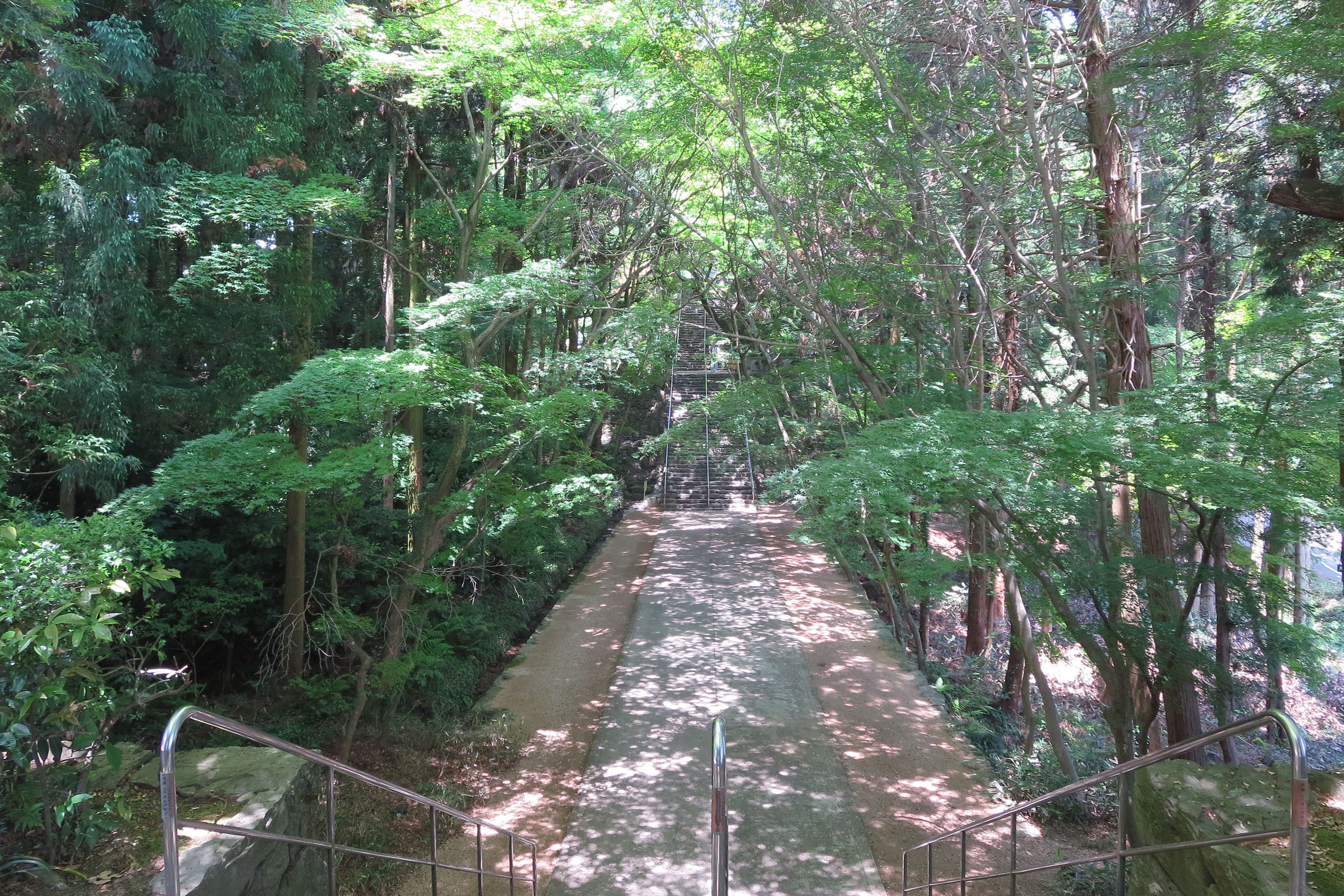 写真03：仁王門からの参道